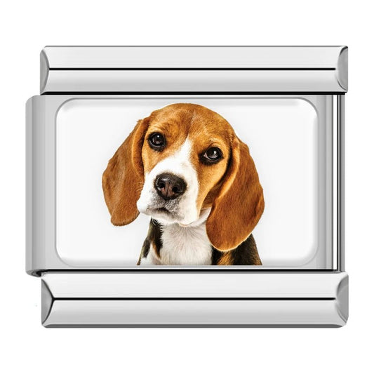 Charm Beagle - Italian Charms