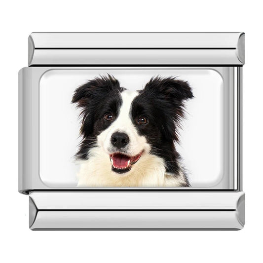 Charm Collie - Italian Charms