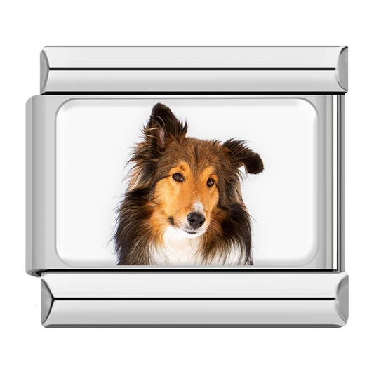 Charm Collie - Italian Charms