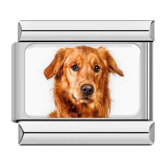 Charm Labrador - Italian Charms