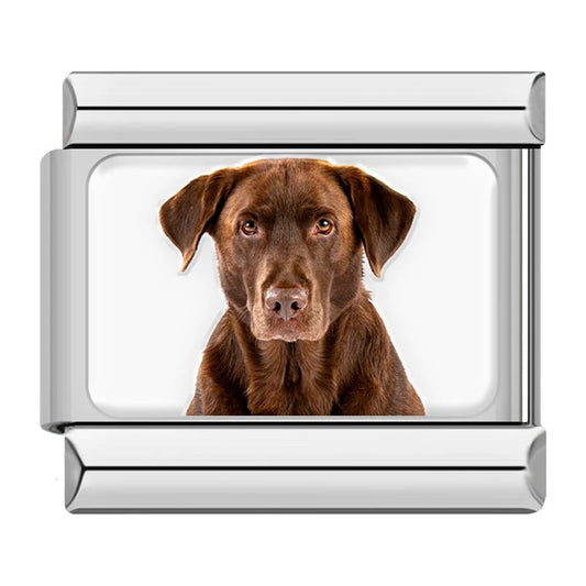 Charm Labrador Cafe - Italian Charms