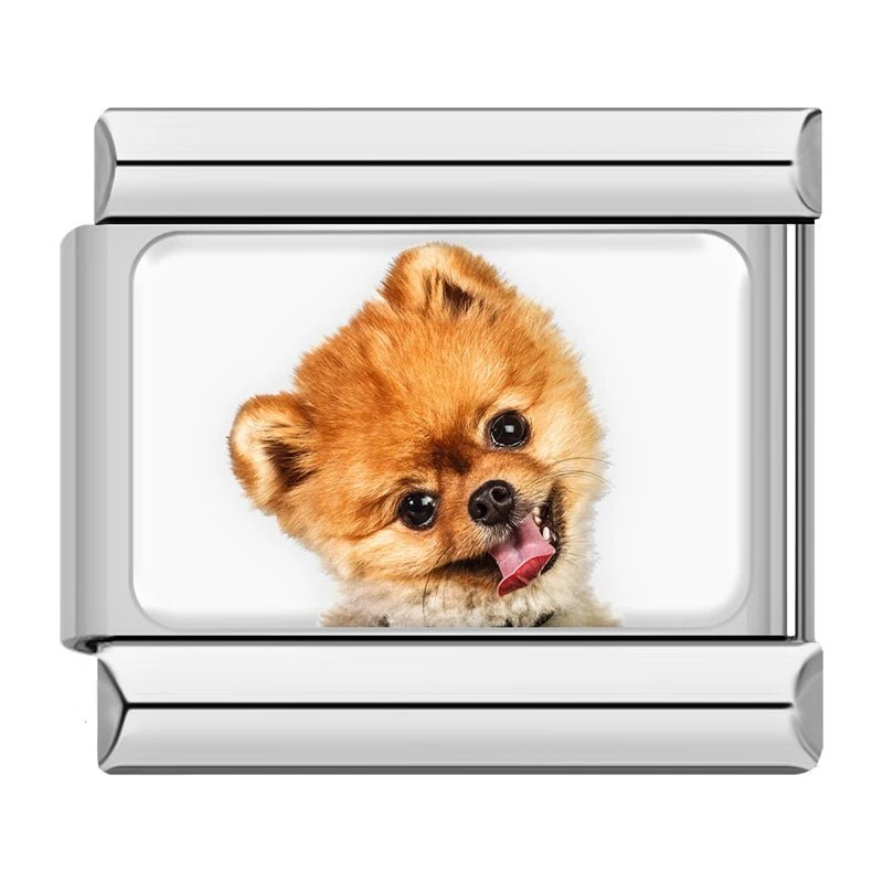 Charm Pomerania - Italian Charms