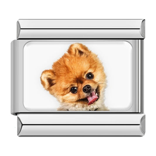 Charm Pomerania - Italian Charms