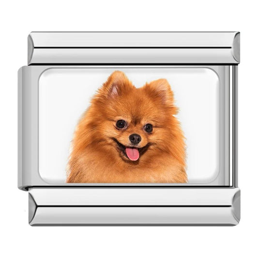 Charm Pomerania - Italian Charms