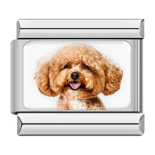 Charm Poodle - Italian Charms